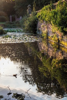 Bosworth Hall Hotel & Spa