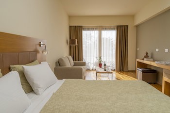Domotel Anemolia Mountain Resort