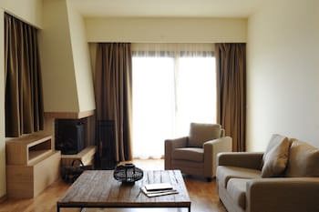 Domotel Anemolia Mountain Resort