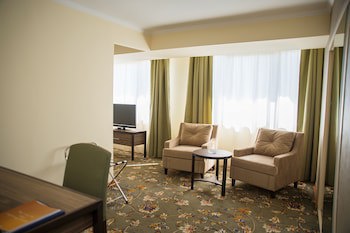Ani Plaza Hotel