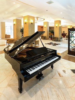 Ani Plaza Hotel