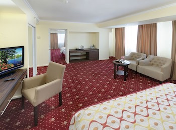 Ani Plaza Hotel