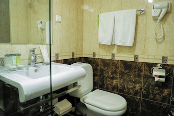 Ani Plaza Hotel