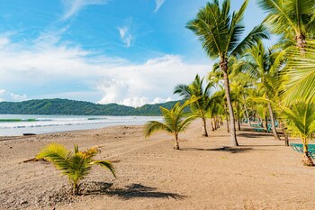 Barcelo Tambor - Adults Only