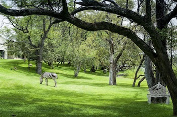 Royal Livingstone Victoria Falls Zambia Hotel By Anantara