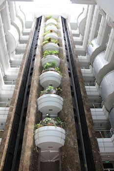 Sea View Hotel fotoğrafı