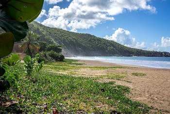 Wyndham Tortola Bvi Lambert Beach Resort