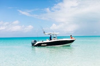 The Cove Eleuthera