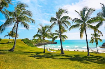 The Cove Eleuthera