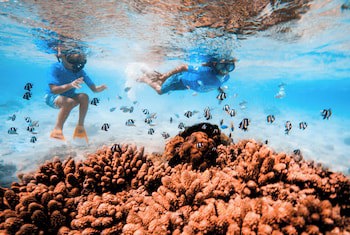 The Rarotongan Beach Resort & Lagoonarium