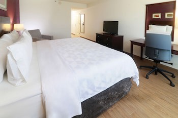 Holiday Inn Reynosa Industrial Poniente, An Ihg Hotel