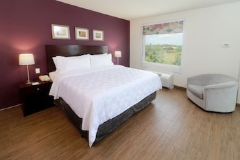 Holiday Inn Reynosa Industrial Poniente, An Ihg Hotel