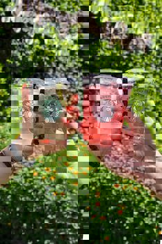 Mirage Park Resort - All Inclusive