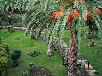 Dom Pedro Madeira
