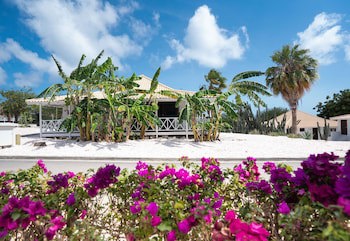Papagayo Beach Resort
