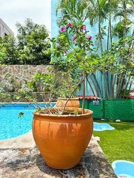 Best Western Posada Chahue