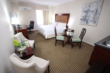 Holiday Inn Durango, An Ihg Hotel