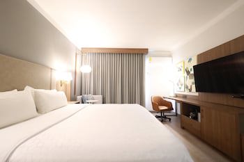 Holiday Inn Durango, An Ihg Hotel