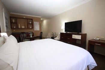 Holiday Inn Durango, An Ihg Hotel