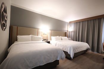 Holiday Inn Durango, An Ihg Hotel