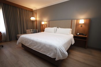 Holiday Inn Durango, An Ihg Hotel