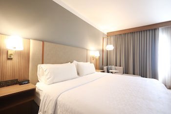 Holiday Inn Durango, An Ihg Hotel