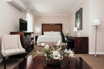 Holiday Inn Durango, An Ihg Hotel