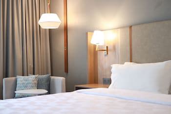 Holiday Inn Durango, An Ihg Hotel