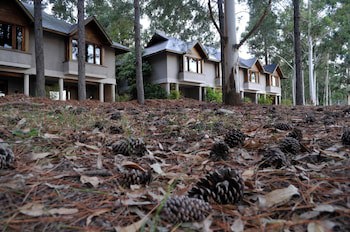 Carmelo Resort & Spa