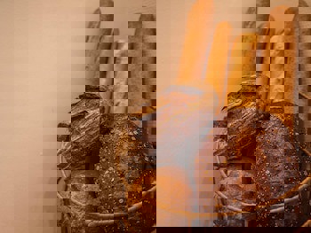 The Classic Hotel Nicosia - Handwritten Collection