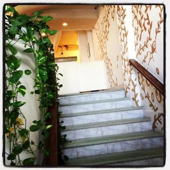 Emperador Vallarta Beachfront Hotel And Suites