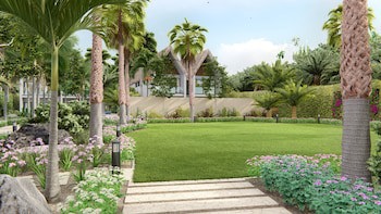 Dreams Sapphire Resort & Spa - All Inclusive