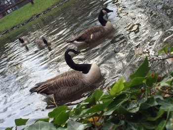 Doubletree By Hilton Hotel - Nottingham Gateway