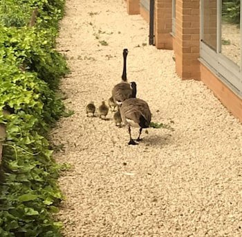 Doubletree By Hilton Hotel - Nottingham Gateway