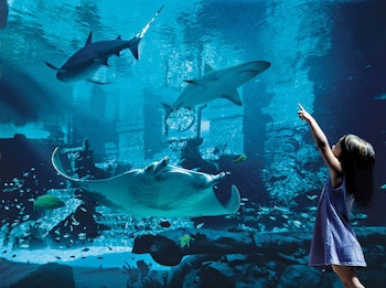 Harborside Resort & Vacation Rentals At Atlantis