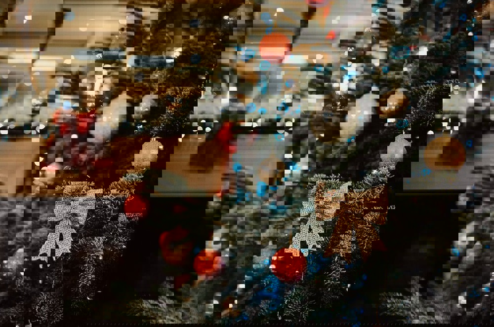 Hotel du Parc - Centre Ville