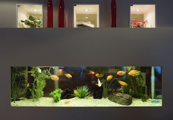 Best Western Hotel Norra Vattern