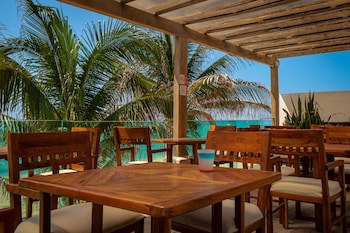 Flamingo Cancun