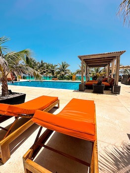 Flamingo Cancun