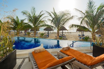 Flamingo Cancun
