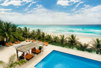 Flamingo Cancun