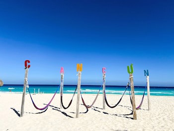 Flamingo Cancun