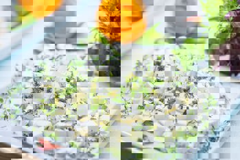 Antea Hotel - Special Class