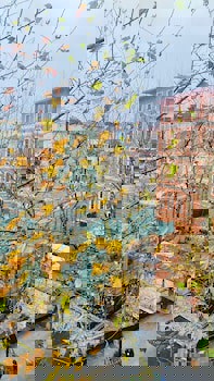 Antea Hotel - Special Class