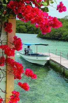 Punta Caracol Acqua Lodge