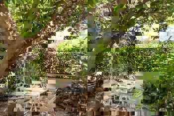 Swissotel The Bosphorus Istanbul