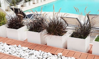 Hotel Solans Presidente
