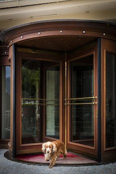 Hotel Regina Wengen