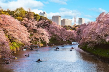 Four Seasons Hotel Tokyo At Marunouchi