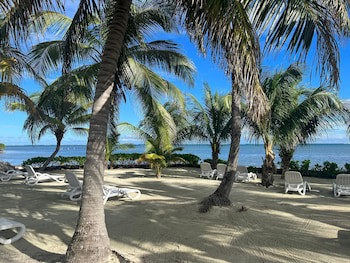 Captain Morgan's Retreat